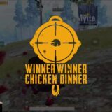 [DTN] 圧倒的エイム力でソロスクドン勝 /Solo vs Squad CheckenDinner with Professional Aim