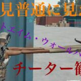 pubg mobile チーター 観戦 一見普通に見えるが騙されるな( ≖ᴗ≖​)ﾆﾔｯ