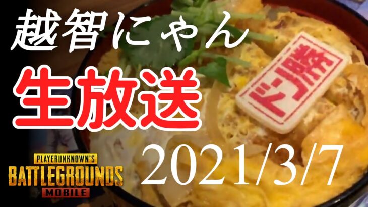 【PUBG MOBILE】クラウンに上りたいたすけて【越智にゃん】【概要欄見てね】2021/3/7