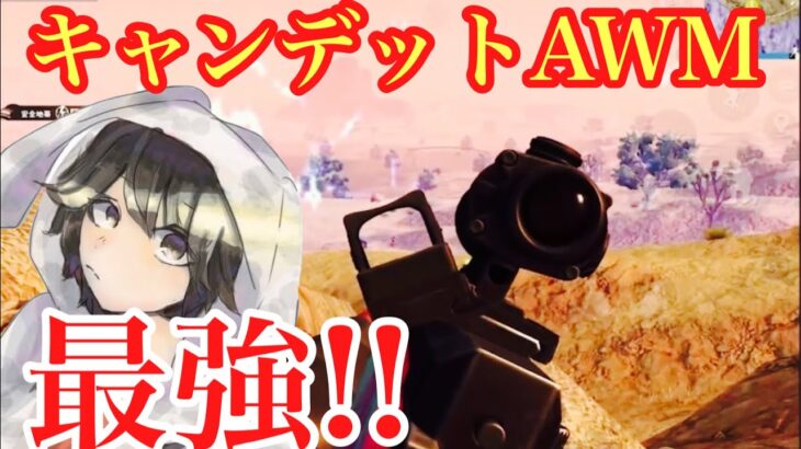 【PUBG MOBILE】これがキャンデットの力！ 【PUBGモバイル】【せかめん】