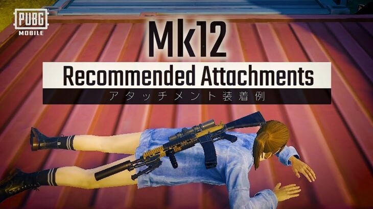 DMR編「Mk12」のおすすめアタッチメントを紹介✨