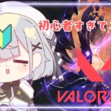 【VALORANT】とっっっても初心者だけど遊びたいのでやる　#vtube