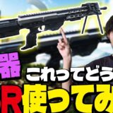 新武器のDSRを使ってみた【PUBGモバイル】