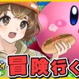 【 牛丼を諦めない 】完全初見 ！カービィと癒されに行く冒険！【 星のカービィ ディスカバリー 】