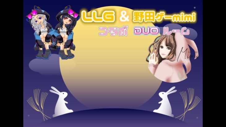 PUBGモバイル LLG×野田ゲーmimi🐰コラボDUOルーム