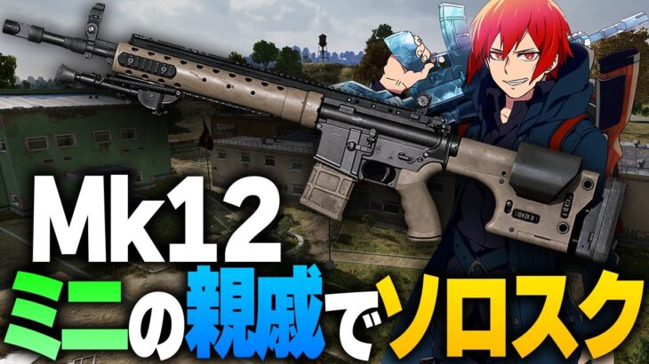 【PUBGモバイル】Mini14の親戚とも呼べるような性能の武器でソロスク【PUBGMOBILE】