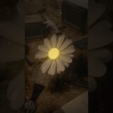 砂漠の塵より、かつてない力が目覚める。