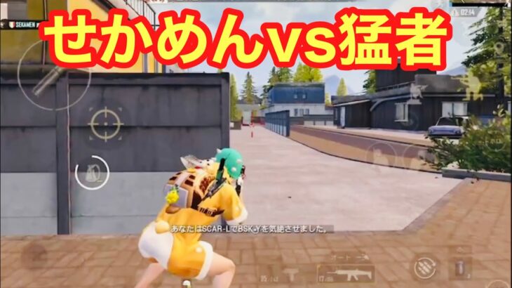 【PUBG MOBILE】『この人上手いな！』せかめんvs猛者プレイヤー！【PUBGモバイル】