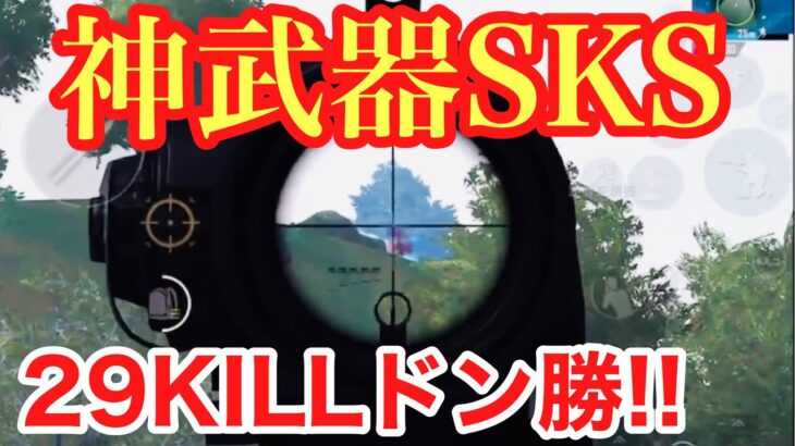 【PUBG MOBILE】神武器SKSとM416倍フルで無双!! せかめん29KILLドン勝!! 【PUBGモバイル】
