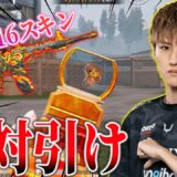 【PUBGモバイル】新M416スキン「紅天神剣」が神すぎる！！【レビュー】