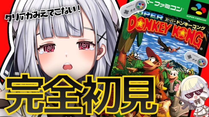 【スーパードンキーコング】今日は地獄のトロッコからだよ。クリアするまでドンキーコング配信