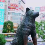 【忍、渋谷に集結】 渋谷屋外スクリーン6面ジャック アフタームービー【 『PUBG MOBILE』× 「NARUTO-ナルト- 疾風伝」】​