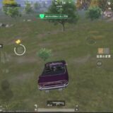 【PUBGモバイル】日曜日【PUBGMOBILE】