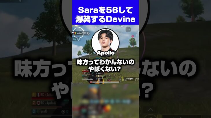 【PUBGモバイル】仲間のSaraを倒して爆笑するDevine  #pubgmobile  #devine #切り抜き